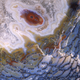 Illustration for article titled The Microscopic Beauty of Photographys Smallest Subjects
